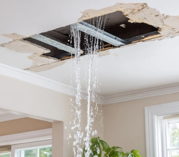 Dégâts des eaux et fuites